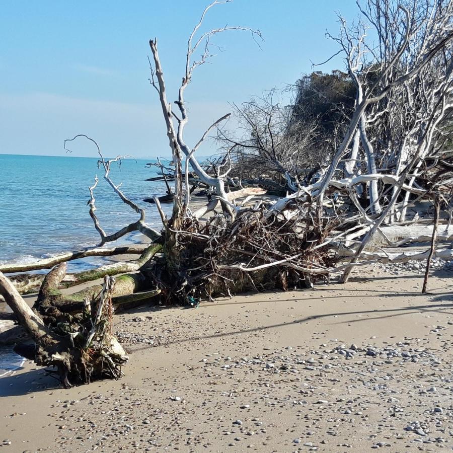 In Collina Sul Mare... Villa Montenero di Bisaccia Dış mekan fotoğraf
