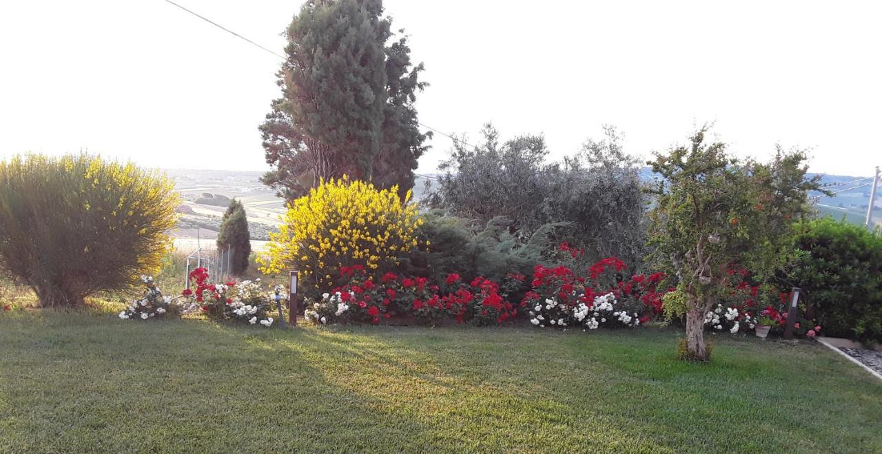 In Collina Sul Mare... Villa Montenero di Bisaccia Dış mekan fotoğraf