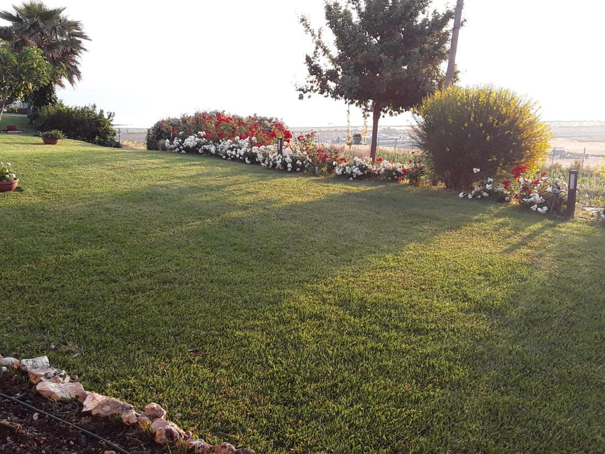 In Collina Sul Mare... Villa Montenero di Bisaccia Dış mekan fotoğraf