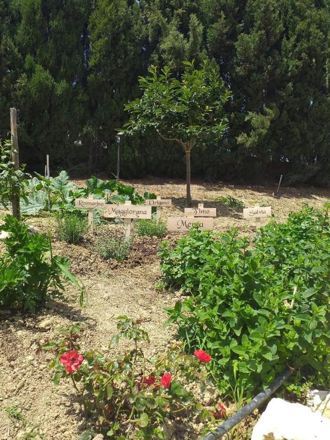 In Collina Sul Mare... Villa Montenero di Bisaccia Dış mekan fotoğraf